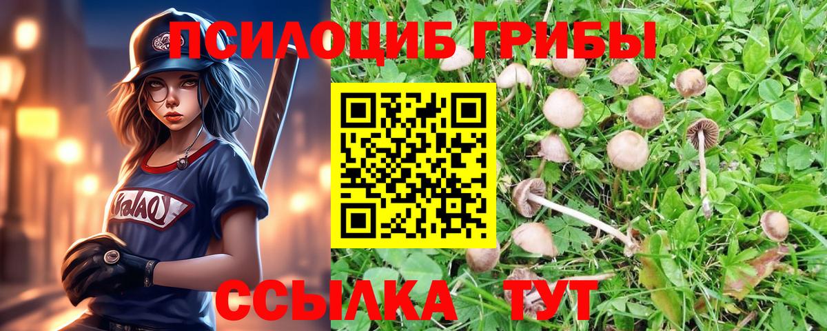 Галлюциногенные грибы Magic Shrooms  Вход с VPN  Слободской  наркотики  Галлюциногенные грибы Psilocybe 